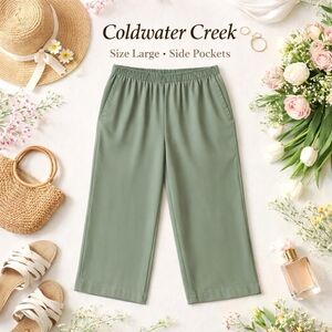Coldwater Creek Sage Green Elastic Waist  Pants Large Coastal Grandma